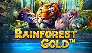 Rainforest Gold Slot